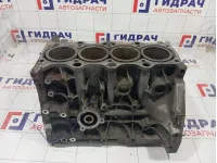 Блок цилиндров Suzuki Swift 1120069G05