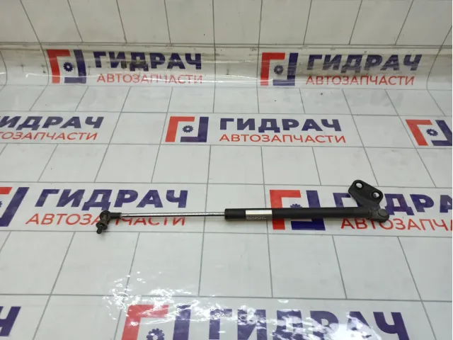 Амортизатор крышки (двери) багажника левый Suzuki Swift 8180063821