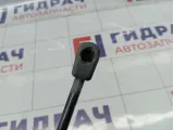 Амортизатор крышки (двери) багажника правый Suzuki Swift 8180162811