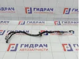 Проводка двигателя Suzuki Swift 3661562J10
