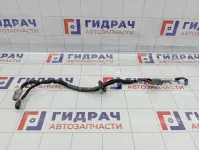 Проводка двигателя Suzuki Swift 3661562J10