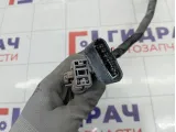 Проводка двигателя Suzuki Swift 3661562J10