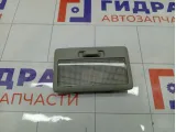 Плафон салонный центральный Suzuki Vitara 3621065J026GS