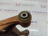Рычаг задний верхний правый Suzuki Grand Vitara (JT) 46201-65J00.