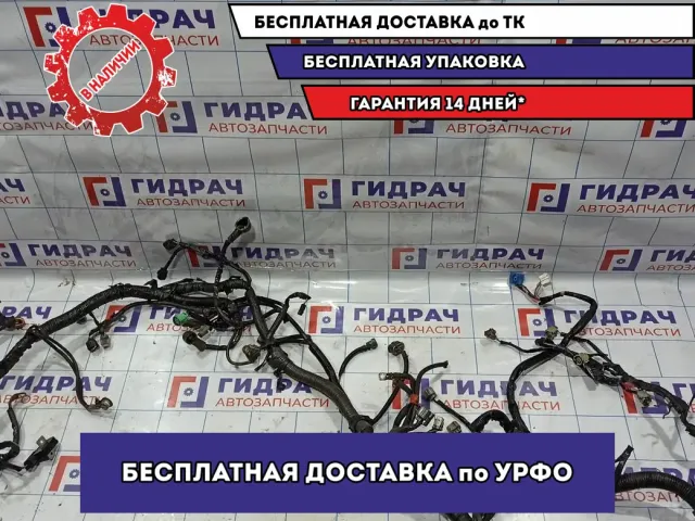 Проводка подмоторная Suzuki Grand Vitara (JT) .