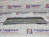 Накладка переднего бампера Suzuki Grand Vitara (JT) 71722-77KA0-PCG