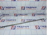 Молдинг двери передней правой Suzuki Grand Vitara (JT) 77530-78K00-0PG