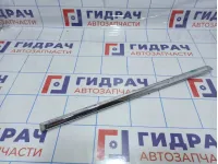 Молдинг двери задней левой Suzuki Grand Vitara (JT) 77560-78K00-0PG