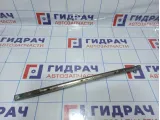 Молдинг двери задней левой Suzuki Grand Vitara (JT) 77560-78K00-0PG