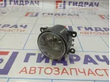 Фара противотуманная Suzuki Grand Vitara (JT) 35500-63J04-000