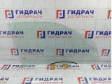 Стекло двери передней правой Suzuki Vitara (LY) 8450154P03