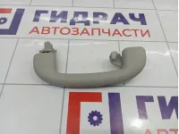 Ручка потолочная задняя левая Suzuki Vitara (LY)