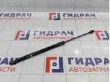 Амортизатор крышки (двери) багажника правый Suzuki Vitara (LY) 8185086R00