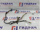Проводка двери задней левой Suzuki Vitara (LY) 3675154PB0