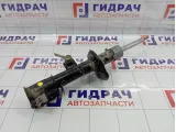 Амортизатор передний передний левый Suzuki Vitara (LY) 4160254PA0