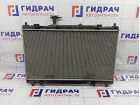 Радиатор основной Suzuki Vitara (LY) 1770061M40