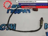 Датчик кислородный Volkswagen Touareg 022906262BH Отличное состояние