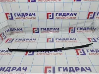 Направляющая стекла двери задней левой Toyota Land Cruiser (J100) 67408-60040