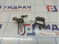 Петли двери задней правой Toyota Land Cruiser (J100)