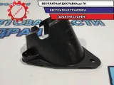 Пыльник Toyota Camry 70 4525333100