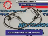Проводка заднего бампера Toyota Camry 70 8218206600