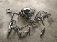 Проводка (коса) Toyota Land Cruiser 100 8213960062