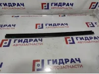 Уплотнитель стекла двери передний левый Toyota Auris (E150) 68172-02120.