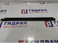 Уплотнитель стекла двери задней правой Toyota Auris (E150) 68173-02120.