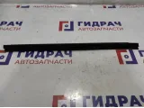Уплотнитель стекла двери задней правой Toyota Auris (E150) 68173-02120.