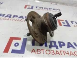 Ступица задняя Toyota Auris (E150) 42450-02120.