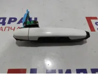 Ручка двери наружная задняя правая Toyota Auris (E150) 69211-0D901.