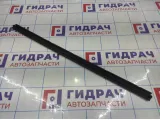 Уплотнитель стекла двери передний правый Toyota Auris (E150) 68171-02130.