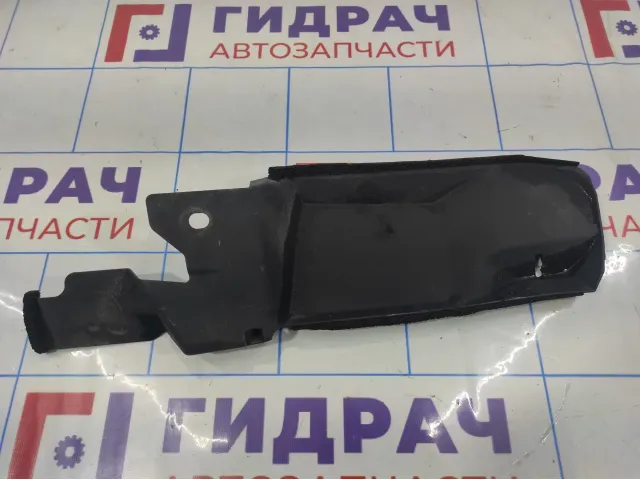 Пыльник переднего крыла правый Toyota Auris (E150) 53825-02020.