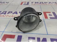 Фара противотуманная левая Toyota Auris (E150) 81220-0D041.