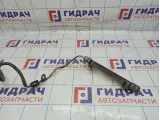 Рейка топливная (рампа) Toyota Auris (E150) 2381437050.