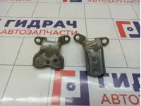Петли двери передней правой Toyota Avensis (T250)