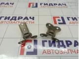 Петли двери задней правой Toyota Avensis (T250)