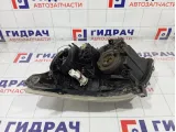 Фара правая Toyota Avensis 8113005240