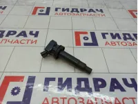 Катушка зажигания Toyota Avensis 9008019019