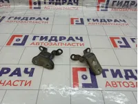 Петли двери задней левой Toyota Avensis