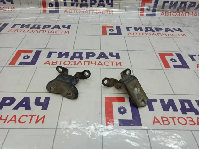 Петли двери задней левой Toyota Avensis