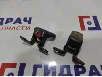 Петли двери задней левой Toyota Avensis (T250) . Комплект.