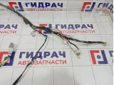 Проводка двери передней левой Toyota Camry (XV40) 8215233A80