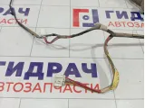 Проводка двери задней левой Toyota Camry (XV40) 8215433180
