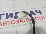 Проводка двери передней левой Toyota Camry (XV40) 8215633020