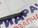 Амортизатор капота Toyota Camry (XV40)
