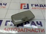 Плафон салонный Toyota Camry (XV40) 8124052040B0