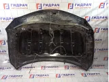 Капот Toyota Camry (XV40) 5330133120