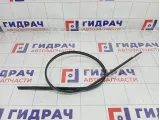 Молдинг крыши левый Toyota Camry 7555633030