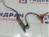 Датчик ABS передний левый Toyota Camry 8954333080